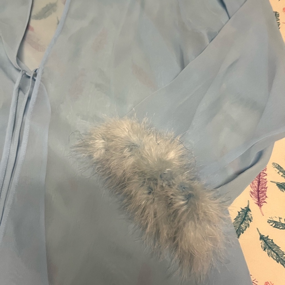 🌸Sheer Blue Robe with Faux Fur Trim - Picture 3 of 4